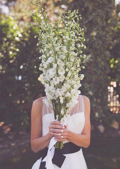 Fotografía de bodas en Zaragoza